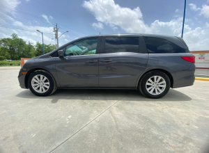 Honda Odyssey Básico