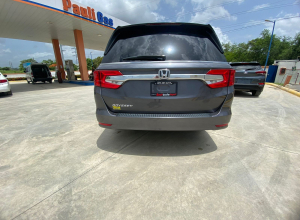 Honda Odyssey Básico