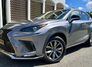 Lexus NX 300 F Sport