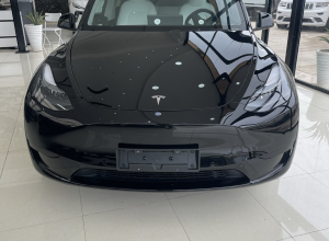 Tesla Model Y Dual Motor