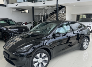 Tesla Model Y Dual Motor