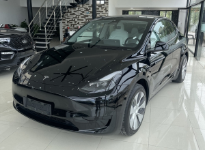 Tesla Model Y Dual Motor