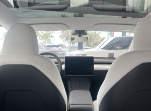 Tesla Model Y Dual Motor