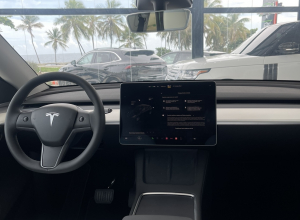 Tesla Model Y Dual Motor