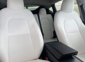 Tesla Model Y Dual Motor