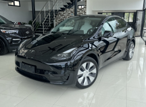 Tesla Model Y Dual Motor