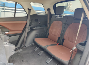 Hyundai Cantus Limited