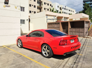 Ford Mustang Cobra