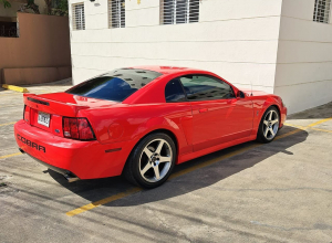 Ford Mustang Cobra