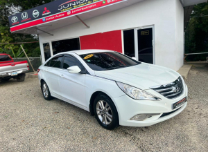 Hyundai Sonata Y-20