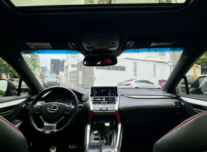 Lexus NX 300 F Sport