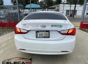 Hyundai Sonata Y-20