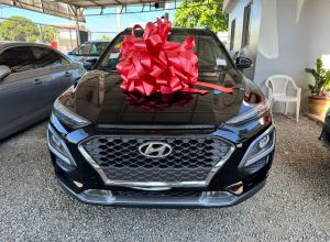 Hyundai Kona Style