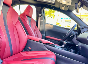 Lexus UX Hibrido F-Sport