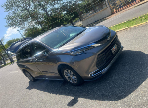 Toyota Sienna XLE