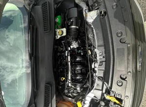 Ford Escape S