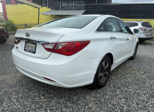 Hyundai Sonata Y-20