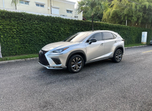 Lexus NX 300