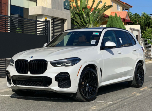 BMW Serie X X7 xDrive M40i