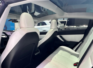 Tesla Model Y Dual Motor