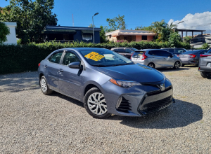 Toyota Corolla LE