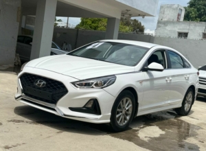 Hyundai Sonata New Rise