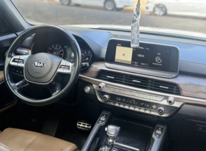 Kia Telluride LX