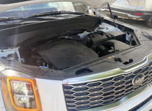 Kia Telluride LX