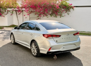 Hyundai Sonata New Rise