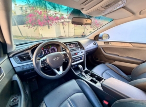 Hyundai Sonata New Rise