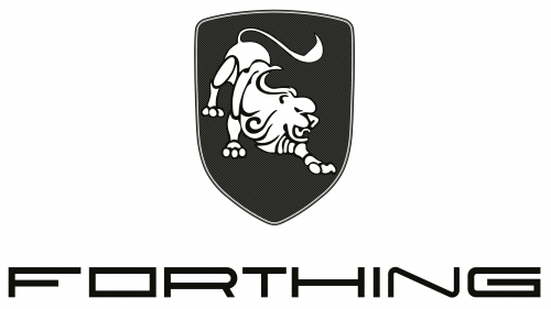 Vehículos Marca Forthing